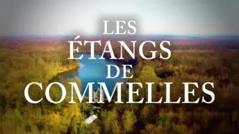 LES ETANGS DE COMMELLES