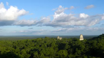 Tikal
