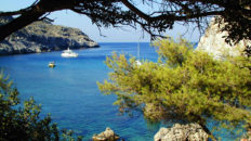 Rhodes