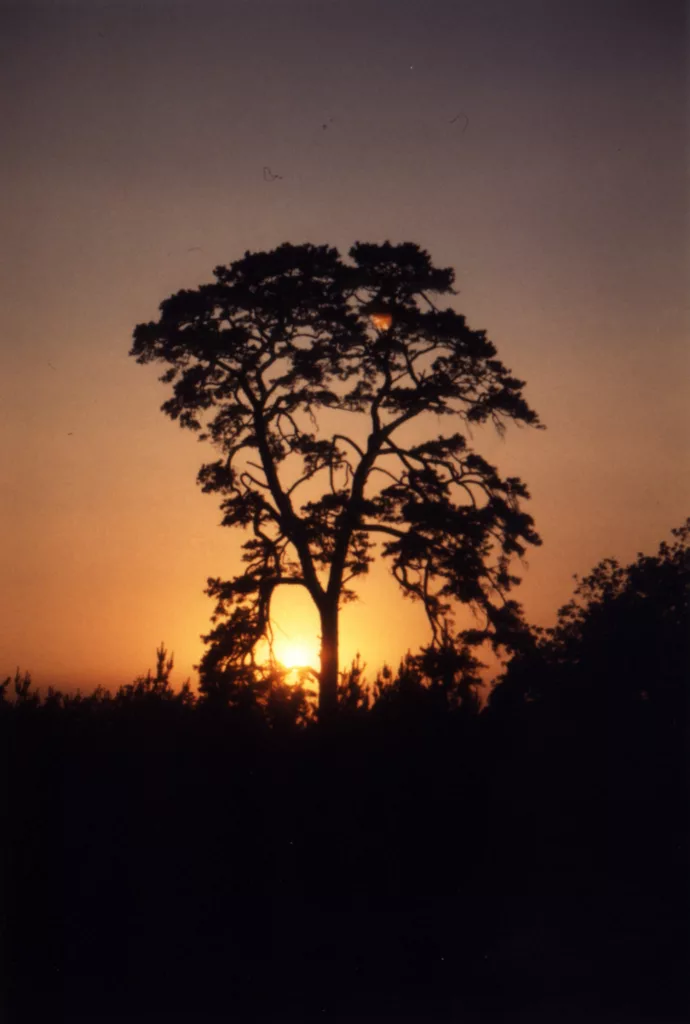 berlin_couché_soleil
