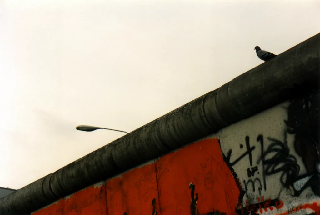 berlin_mur_oiseau