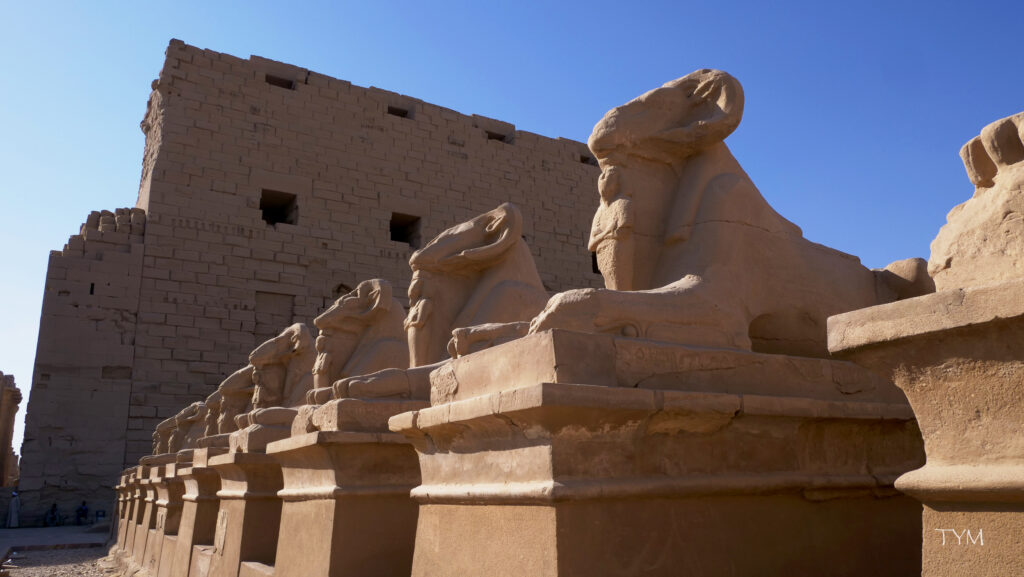 Temple de Karnak_6_béliers_TYM