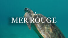 MER ROUGE